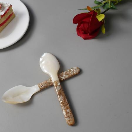 Luxury Pearl Shell Spoon Natural Material