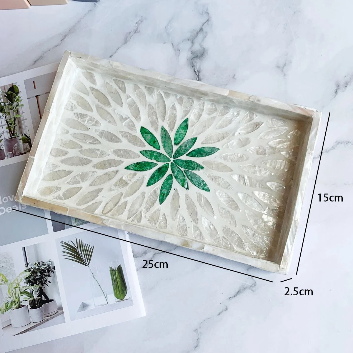 Natural Luxury Pearl Shell Tray Rectangular Nordic Style Fruit Dessert Decorative Shell Serving Tray