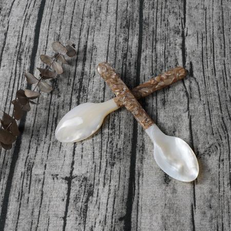 Luxury Pearl Shell Spoon Natural Material